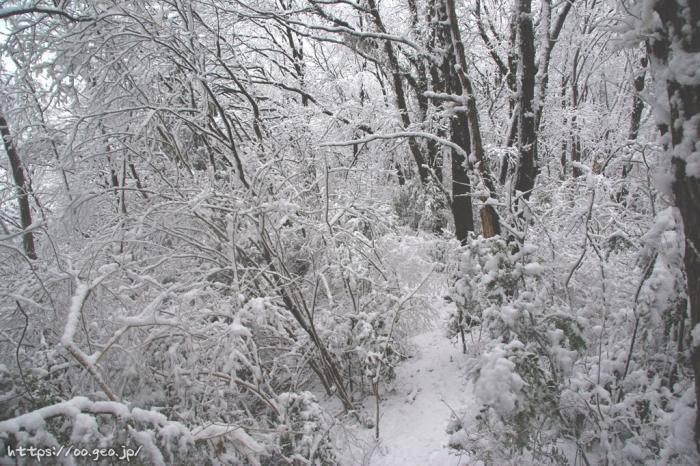 2010年2月2日　高尾霊園登山口～拓大西尾根～拓大分岐～四辻～高尾山（降雪）