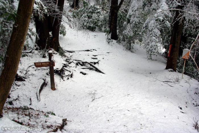 2010年2月2日　高尾霊園登山口～拓大西尾根～拓大分岐～四辻～高尾山（降雪）
