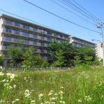 長房団地＆長房新栄商店街さんぽ
