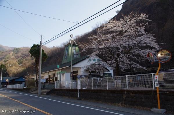 間藤駅と桜