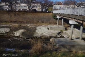 五月橋付近の川床の地形が気になる。人工的なものか、天然か？