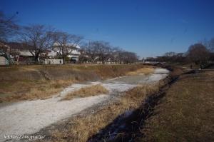 水が干上がった南浅川は川床がなぜか白っぽくなっていた。いつもは水が干上がった時でもここまで白くはないので、人為的な処置？