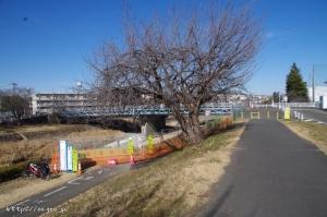 東横山橋付近の工事状況。このあたりは完全に通行止めになっている。浅川ゆったりロード。
